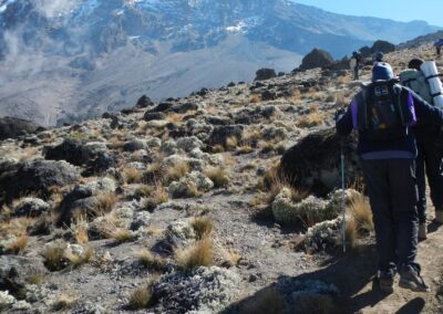Kilimanjaro trekking via lemosho route