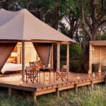 Best Tanzania Midrange Safari Itineraries