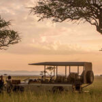 6-Day Northern Tanzania Luxury Safari