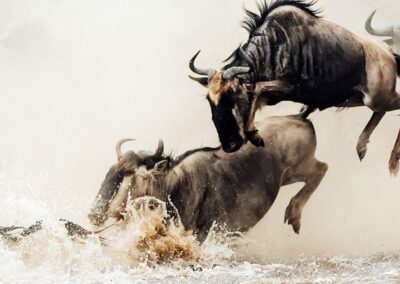 4 Days Tanzania Lodge Safari