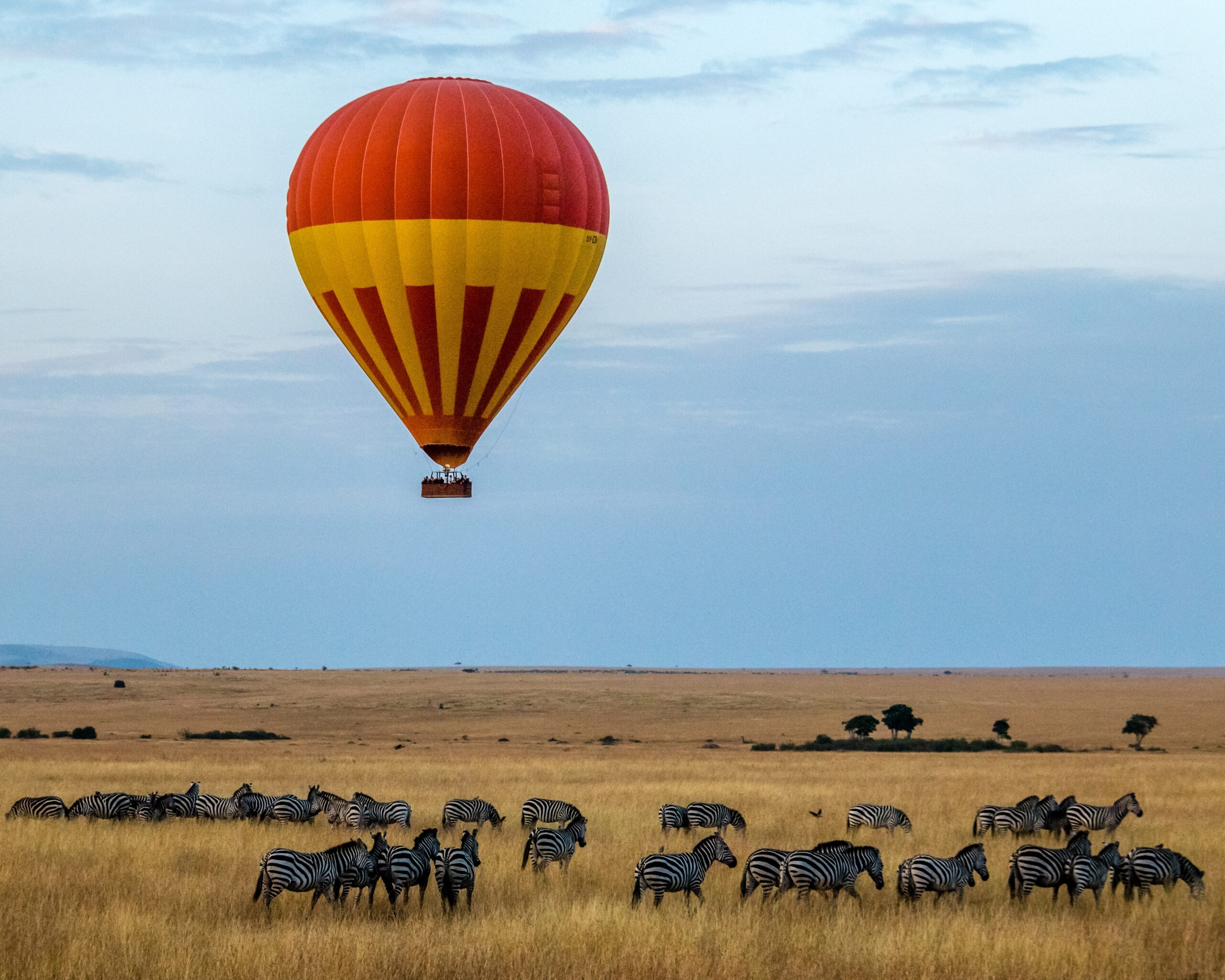 Serengeti balloon safari Hot air balloon flying over the Serengeti during a Tanzania Midrange Safari, offering breathtaking wildlife and landscape views